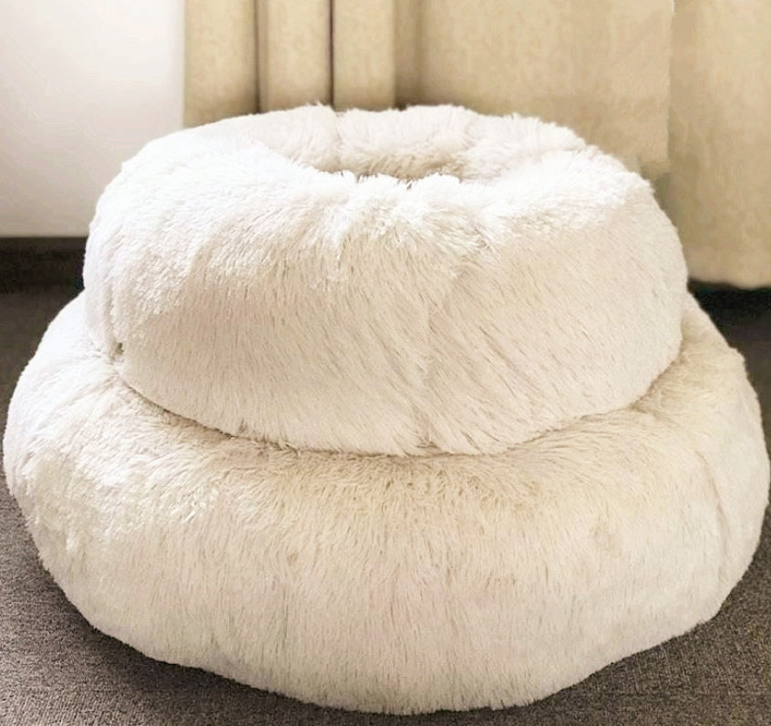 2 Coy White Cat Beds