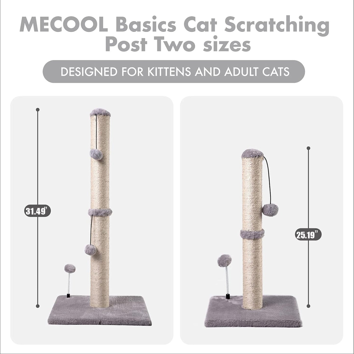 Cat Scratching Post Showing mall and large sizes