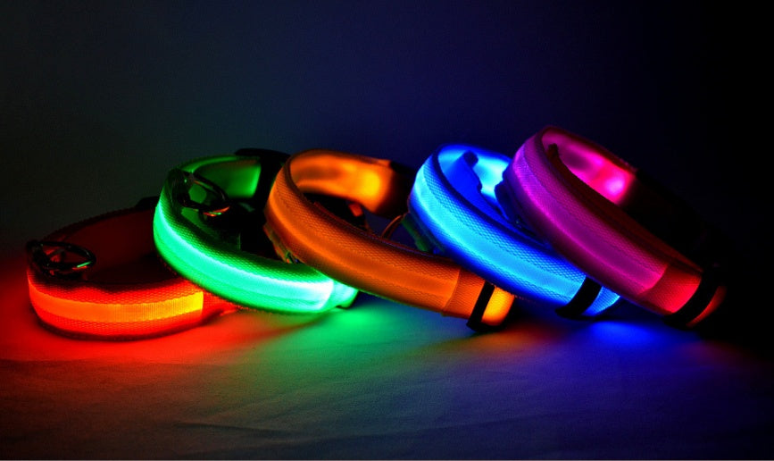 Dog Collar showing the many beautiful colors