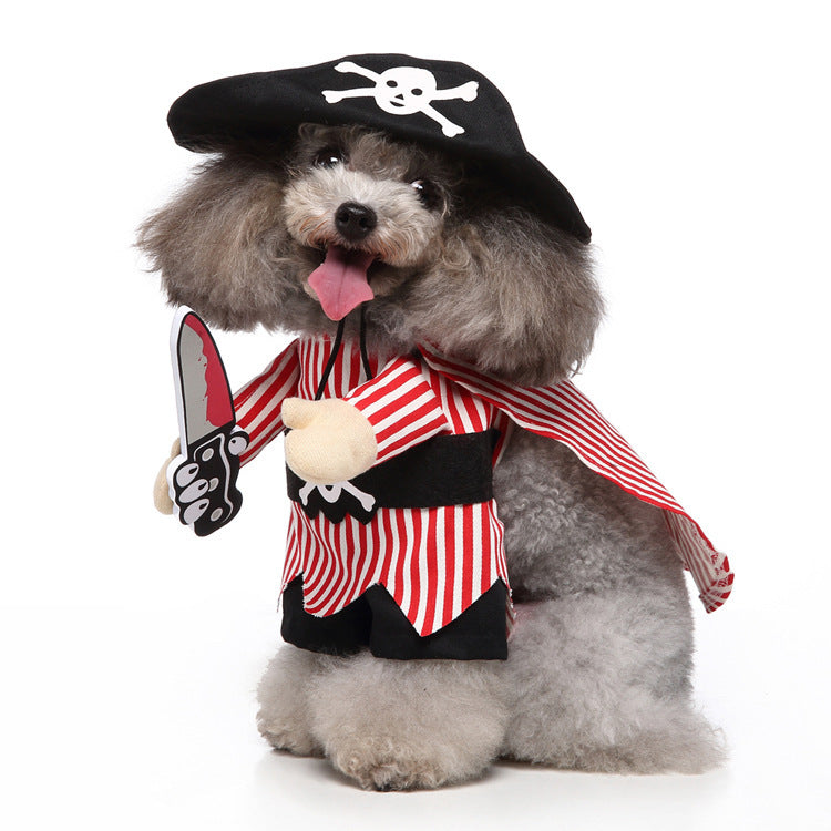 A fluffy dog dressed as a pirate