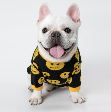 Happy dog in a funky black and yellow dog jumper, smiling with tongue out.