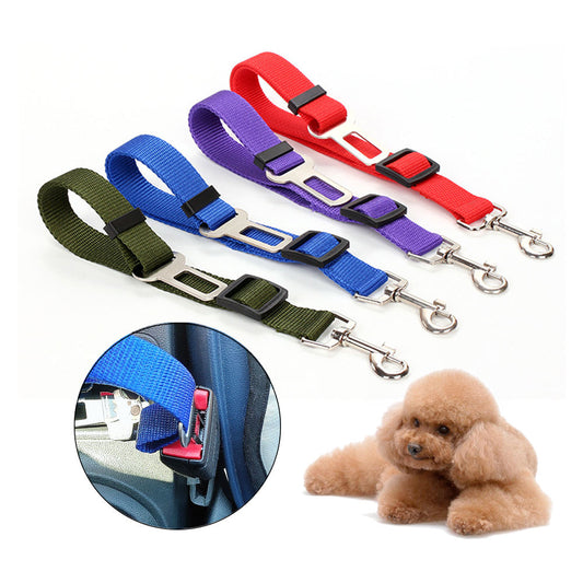 Adjustable nylon pet car seat belt leash in black, blue, purple, and red with seatbelt buckle attachment and fluffy dog