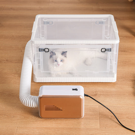 Cat inside transparent pet drying box connected to pet dryer hose on wooden floor