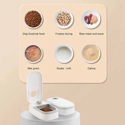 Two automatic cat feeders with open lids, showing food, in a stylish, modern indoor setting. 