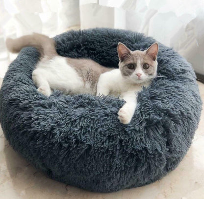 A cozy grey cat rests in a fluffy blue cat bed, conveying peace and comfort.