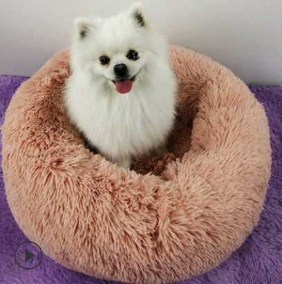 A cozy white dog rests in a fluffy orange cat bed, conveying peace and comfort.