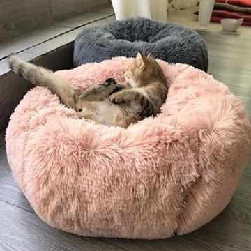 A cozy grey cat rests in a fluffy blue cat bed, conveying peace and comfort.