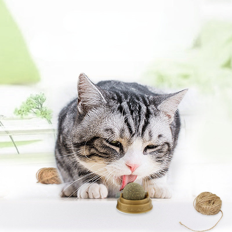 Cat Nip, a cat licks a ball of Cat Nip 