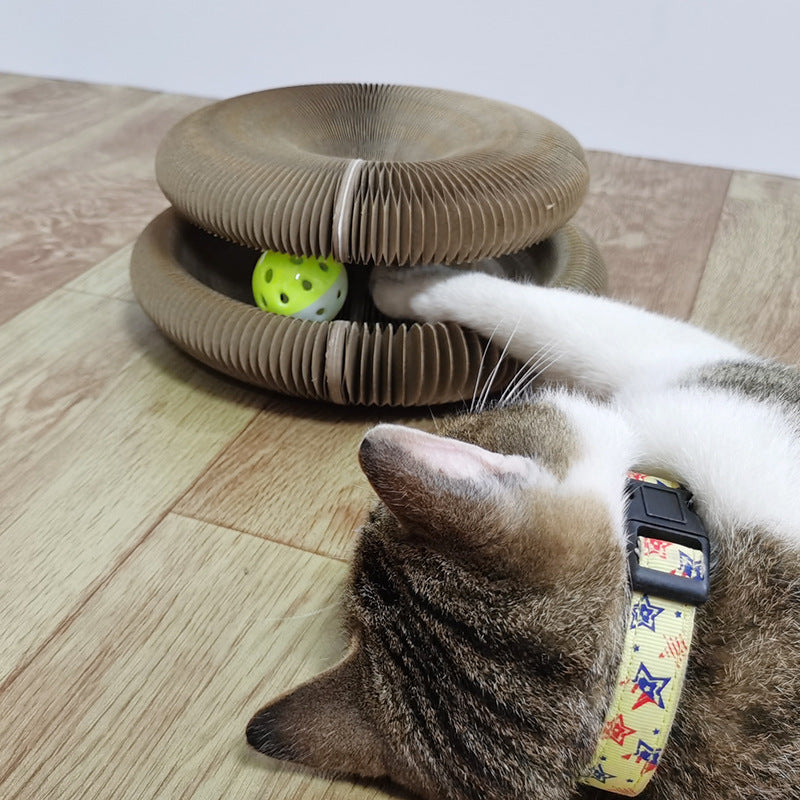 Cat Playing with a cat scratching board and a ball inside 