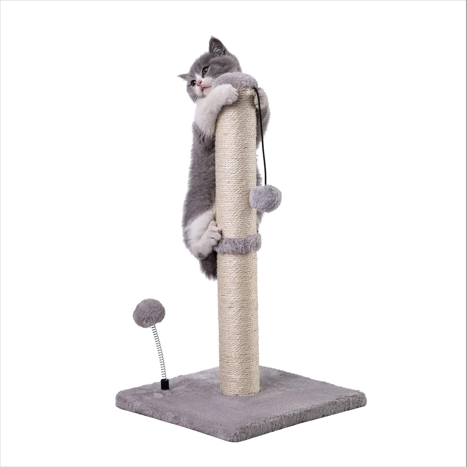 Cat Scratching Post showing a young kitten climbing on the post. 