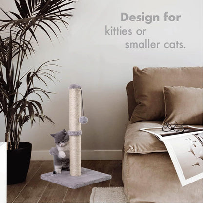 Cat Scratching Post Design 