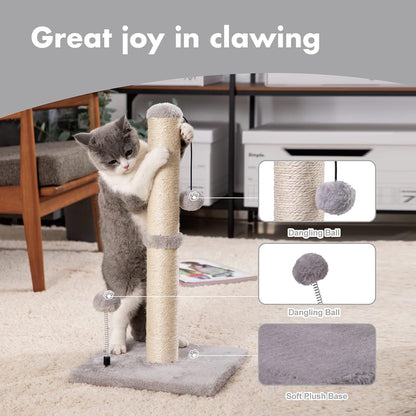 Cat Scratching Post Instructions and showing a cat having fun 