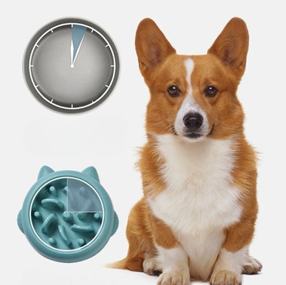 Cat Slow Feeder Showing a description of how to use the bowl with a dog in the background 