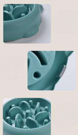 Cat Slow Feeder showing the features of the green bowl 