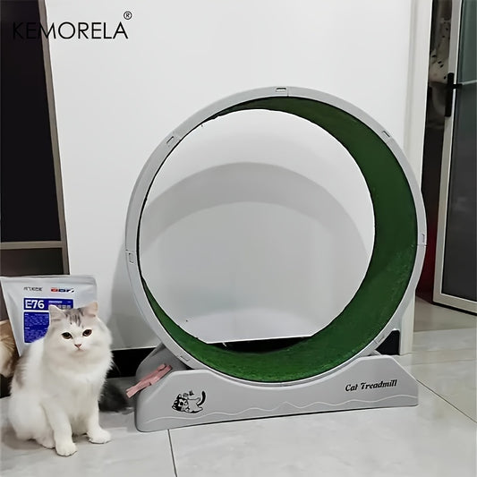 Cat Treadmill showing a happy cat 