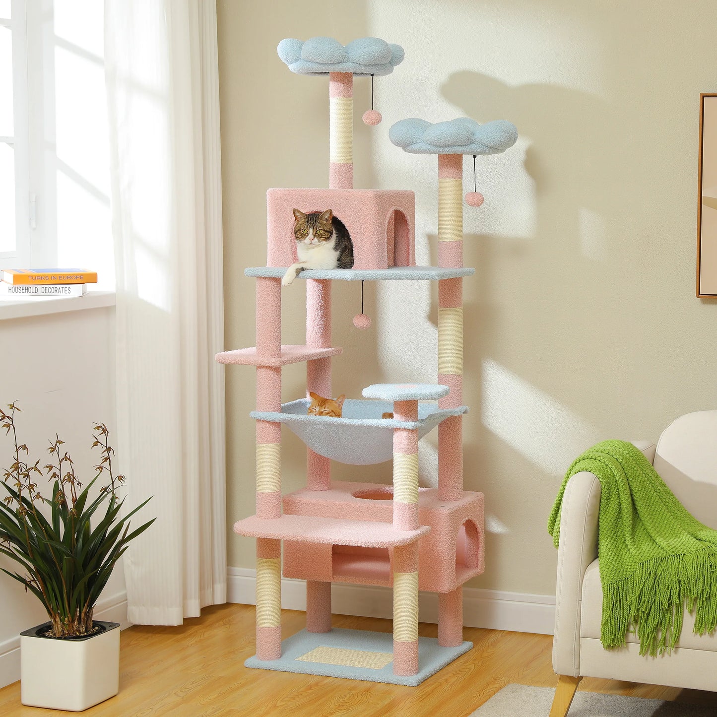 Cat Trees With Cats Playing Happily 