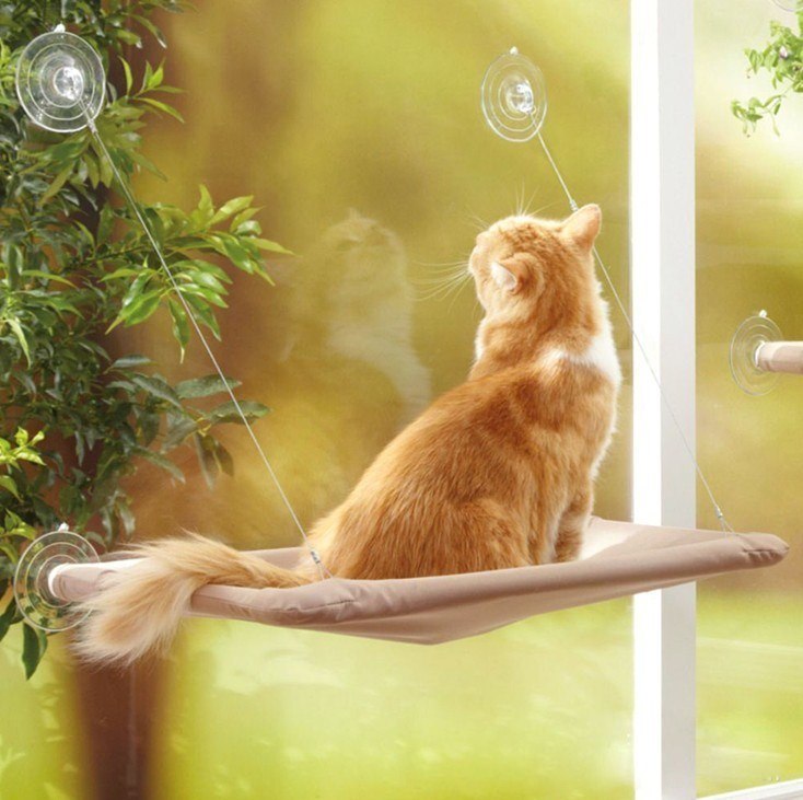 Ginger Cat reclining in a hanging Cat Window Hammock 