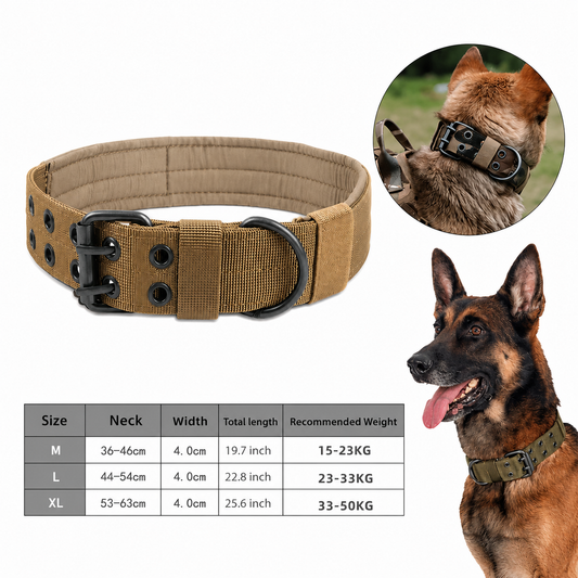 Tan heavy duty tactical dog collar with metal buckle, size chart, and German Shepherd wearing the 2 inch wide K9 collar