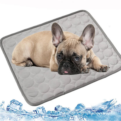 A French Bulldog sits on a blue Cooling Dog Mat in a modern, bright living room. 