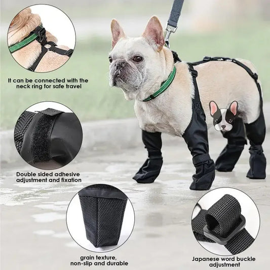 Dog Boots for instant comfort 