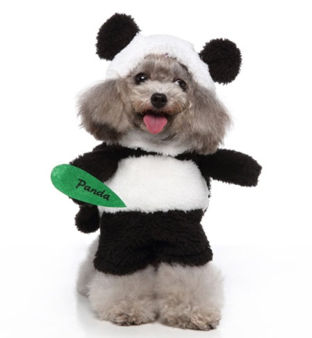 A fluffy dog in a Panda costume holding a Panda  gift, exuding joy and festive spirit.