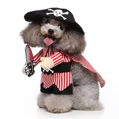 A fluffy dog dressed as a pirate 