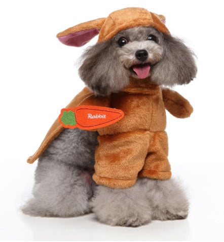 A fluffy dog dressed as a rabbit 