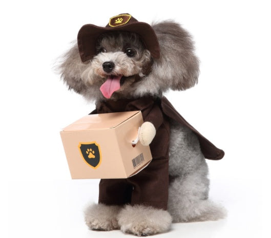 A flufy dog dressed as a delivery driver 