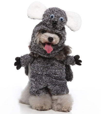 A fluffy dog dressed as a racoon 