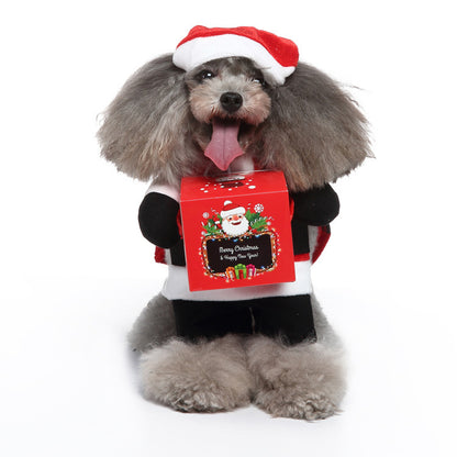 A fluffy dog dressed as santa with a xmas gift 