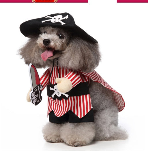 A fluffy dog dressed as a pirate 