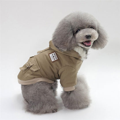 Stylish Dog Hoodie on a cute dog 