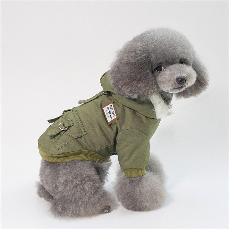 Cute Green Dog Hoodie on a dog 