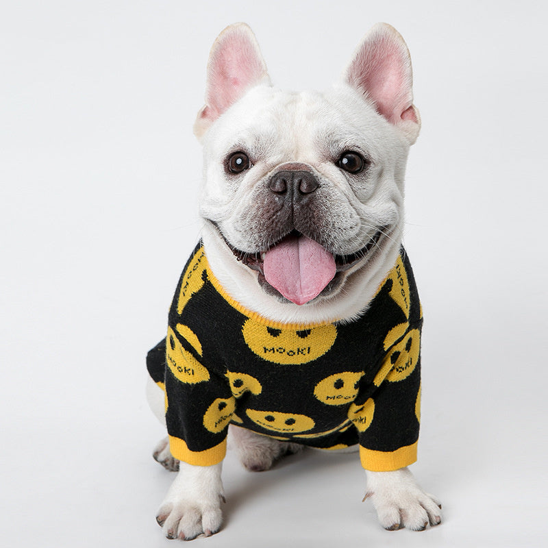 Happy dog in a funky black and yellow dog jumper, smiling with tongue out. 