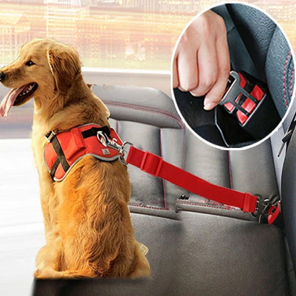 A golden dog in a red seatbelt harness, secured in the backseat of a car.