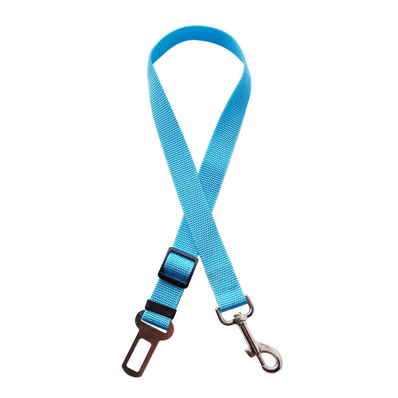 a blue seatbelt strap for dogs 