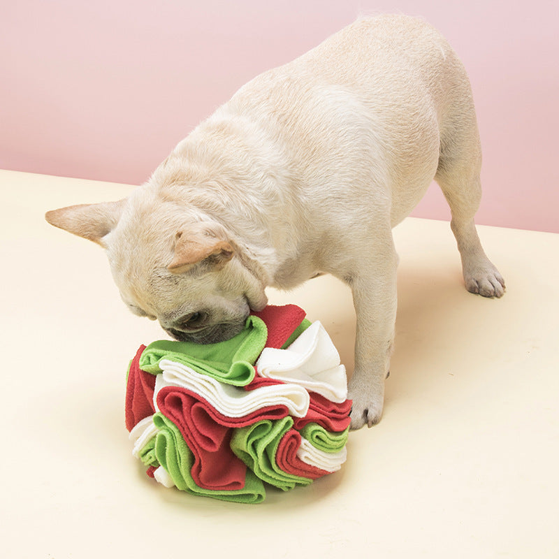 Dog Playing with a Snuffle Ball coloured toy 