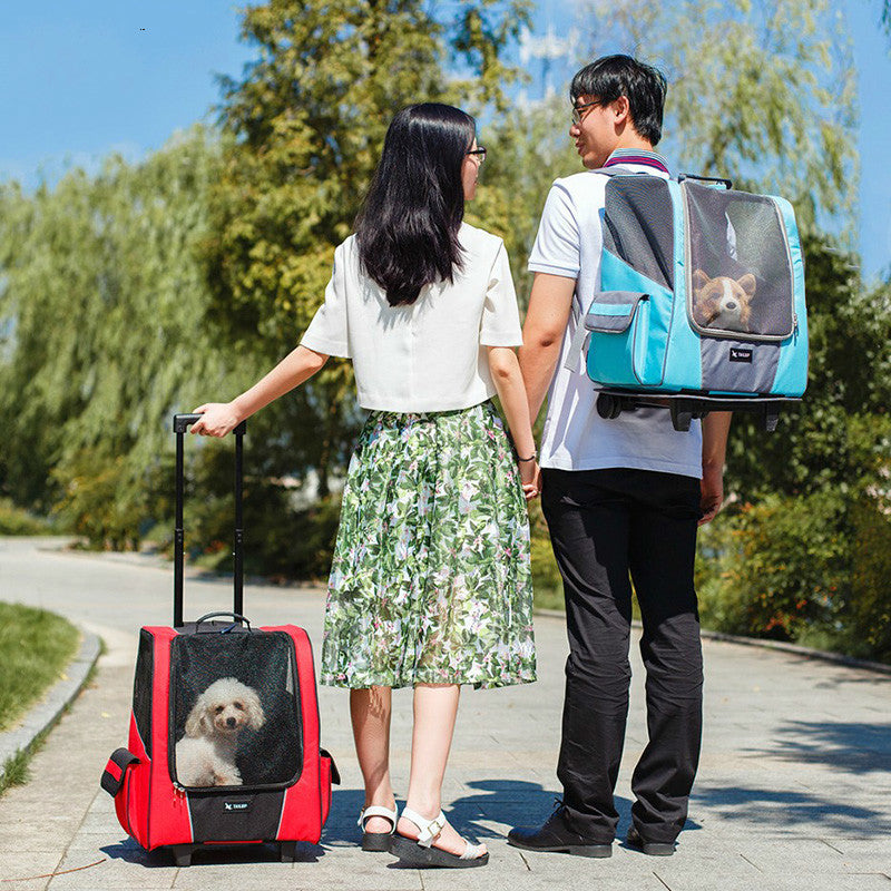 Two Happy People with two dog strollers and two happy dogs 