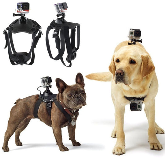 Two dogs wearing Go Pro Dog Harness with cameras, showcasing functionality and fun.