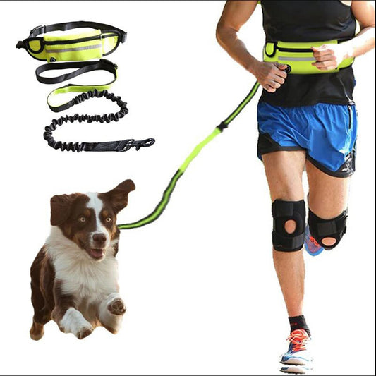 Man Runs with  dog with a hands free dog leash, peacefully using his  phone in a green park.