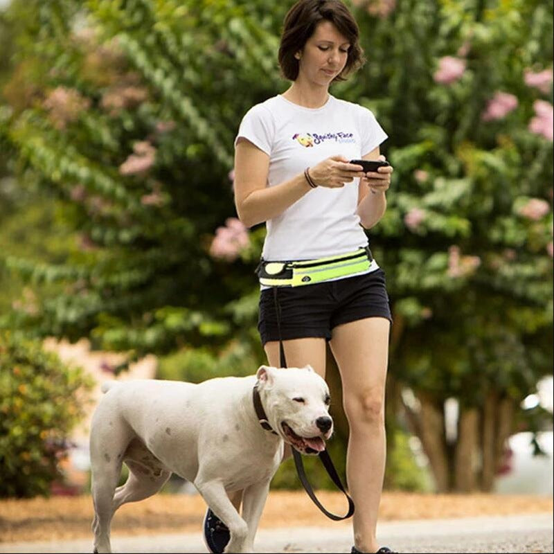 Man Runs with  dog with a hands free dog leash, peacefully using his  phone in a green park.