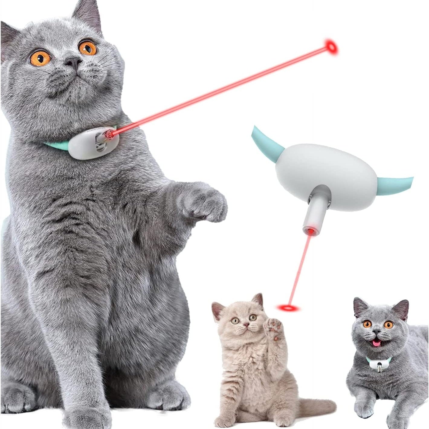 Gray cats playfully interacting with a Laser Cat Collar, showcasing excitement and fun.