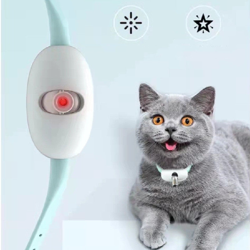 Laser Cat Collar Entertaining your cat 