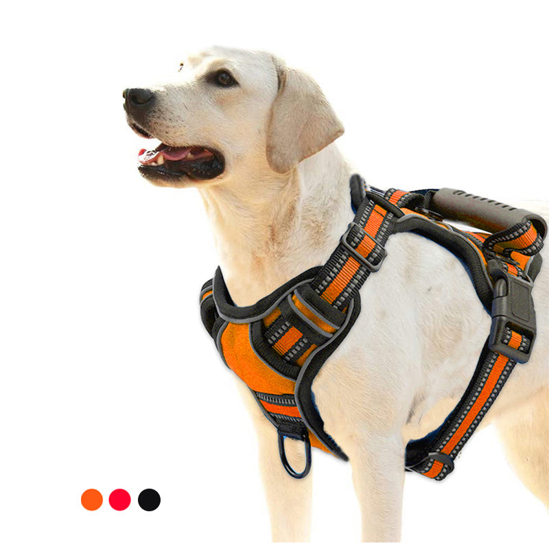 Durable no pull dog harness designed for comfort and control during walks.