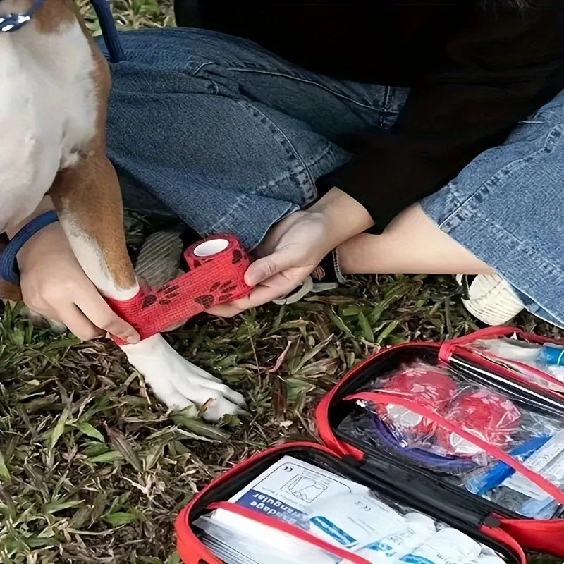 A colorful Pet First Aid Kit with various medical supplies neatly arranged, conveying readiness for pet care. 