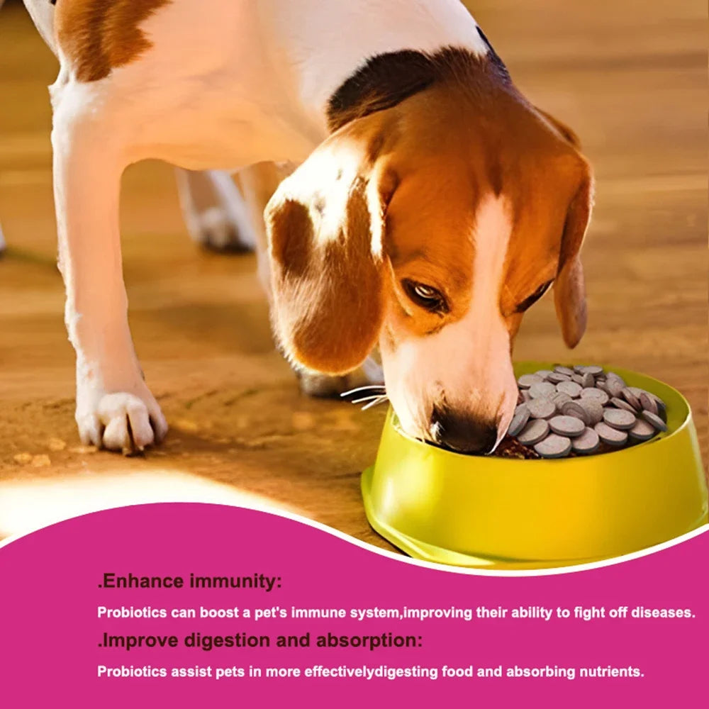 Pet Probiotics showing a dog eating the tablets 