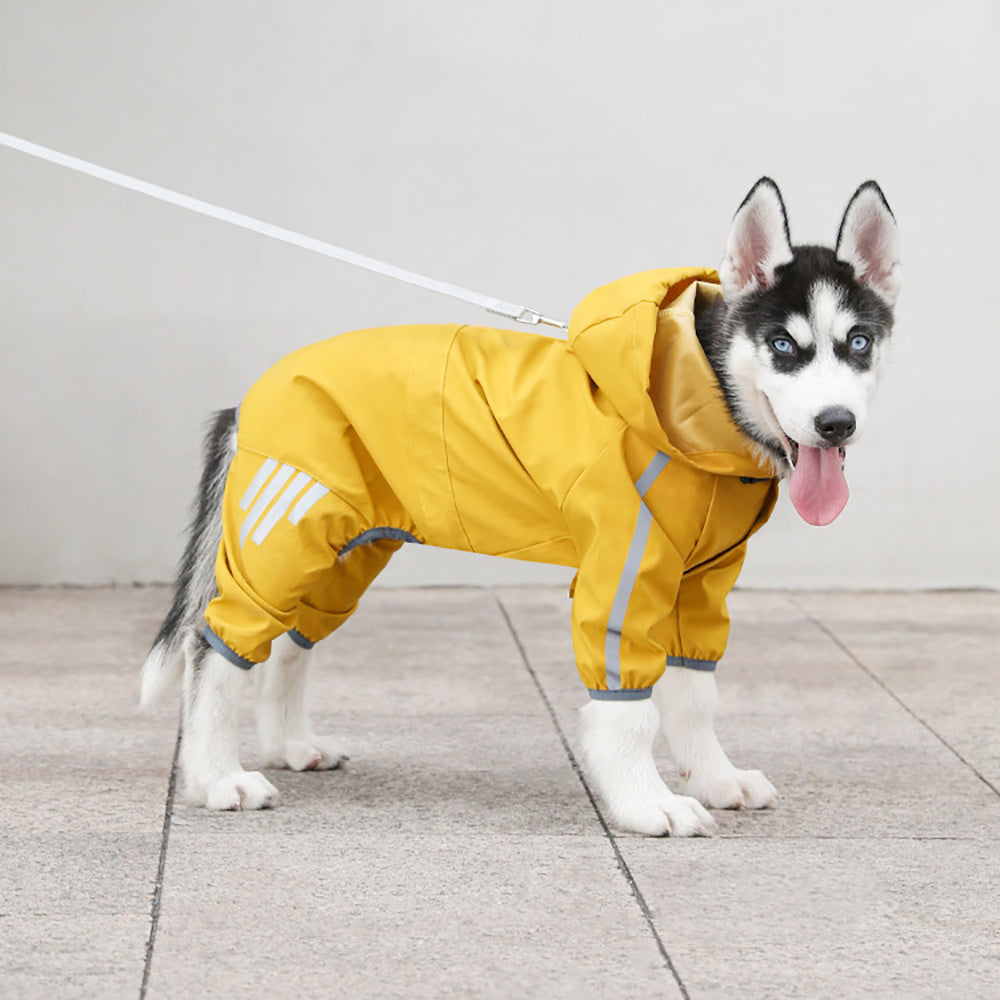 Pet Raincoat showing the attachable lead strap at the back 