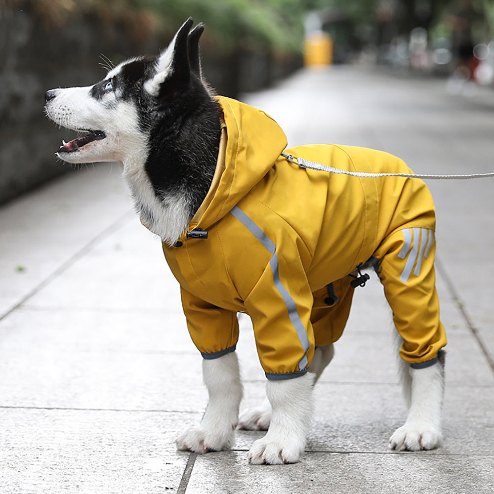 Pet Raincoat 