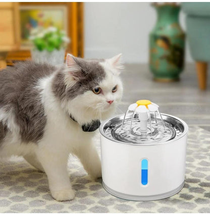 Pet Water Fountain showing a cat about to drink