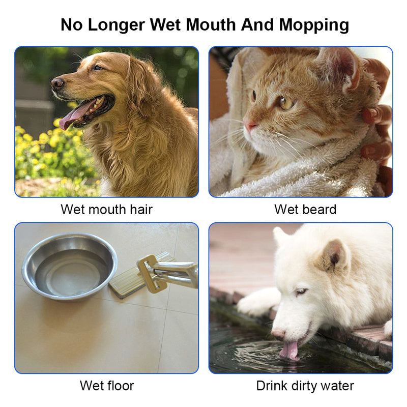 Dog water bowl instructions in pictures 